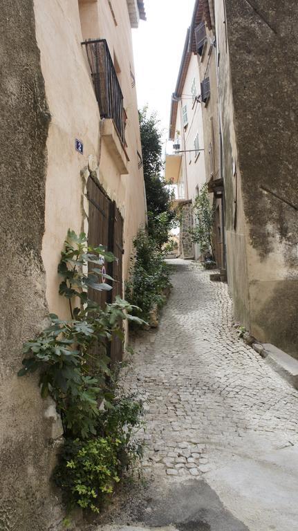 La Vieille Bastide Bed & Breakfast Flayosc Exterior photo